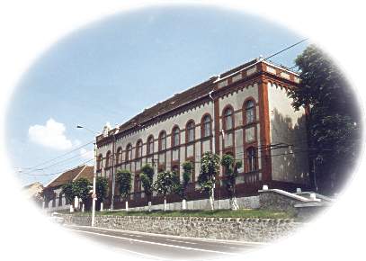 The Court